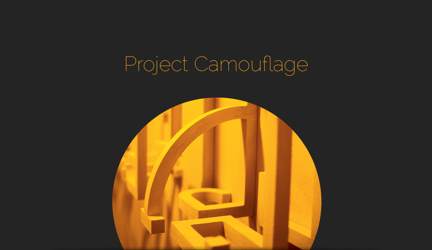 0_camouflage_banner.png