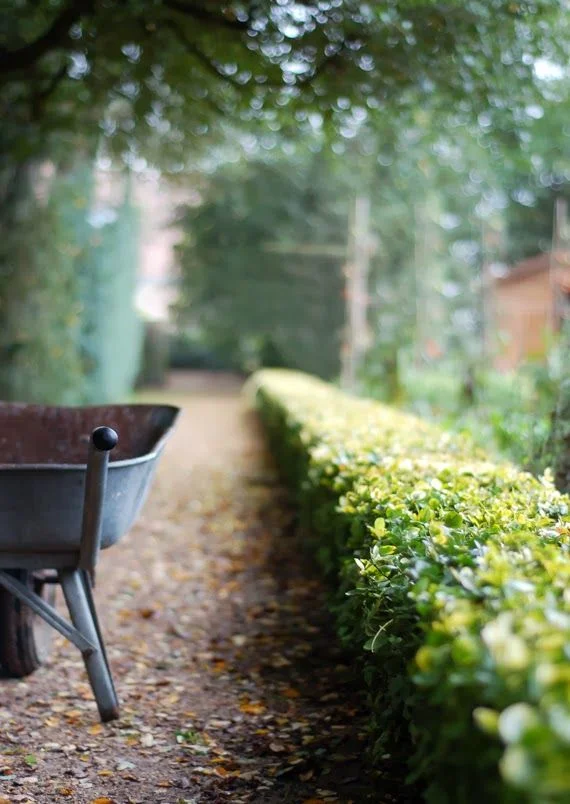 Gardening.jpg