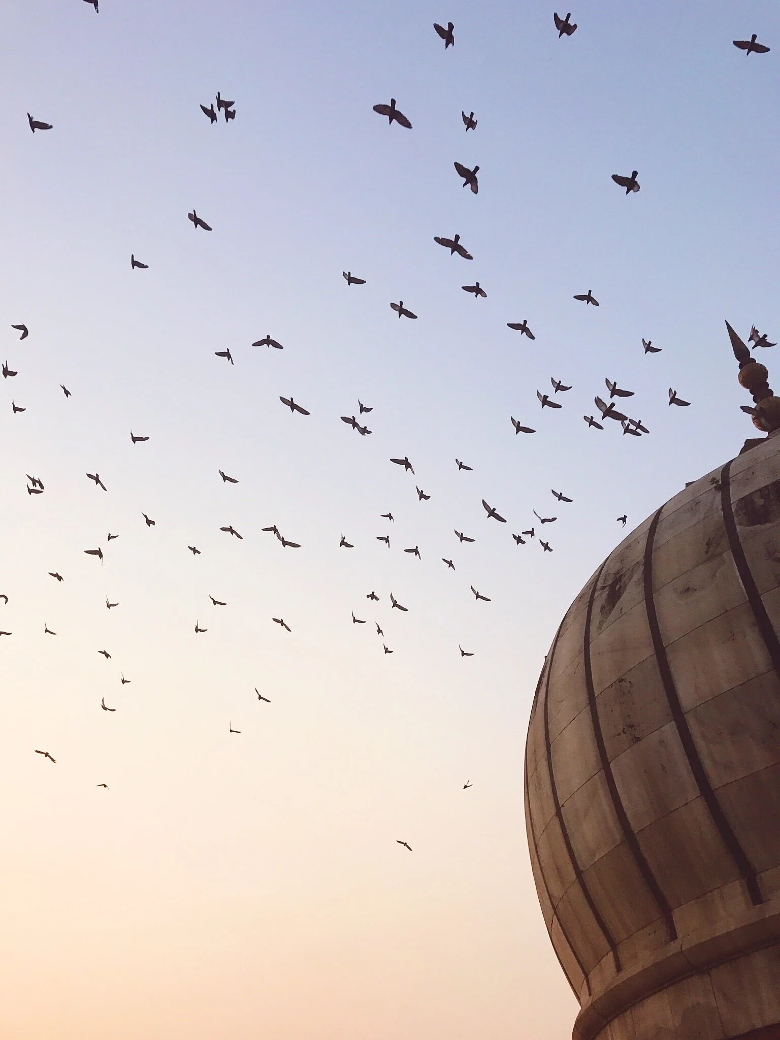 Delhi