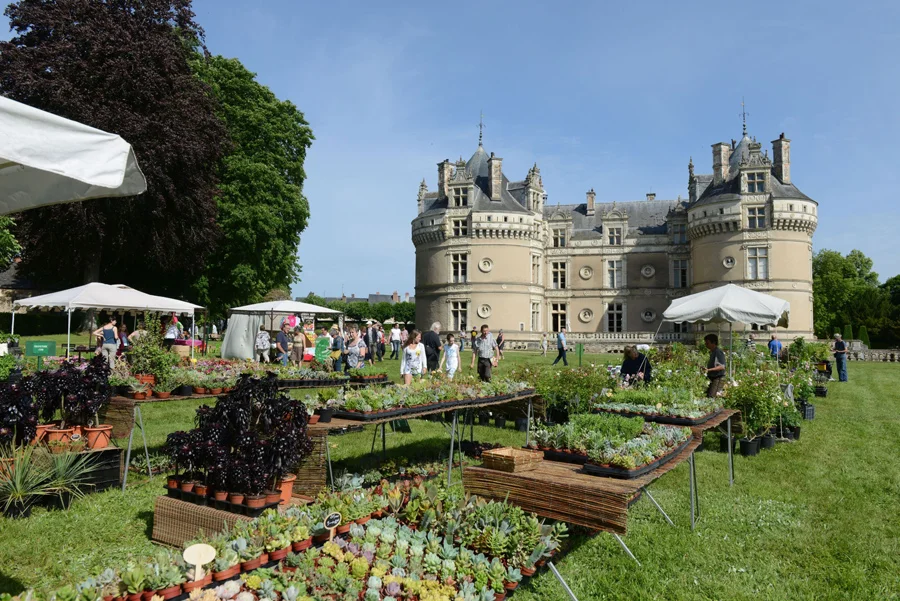 Chateau du Lude.jpg