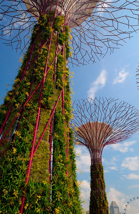 Gardens By The Bay, Artist Impression
