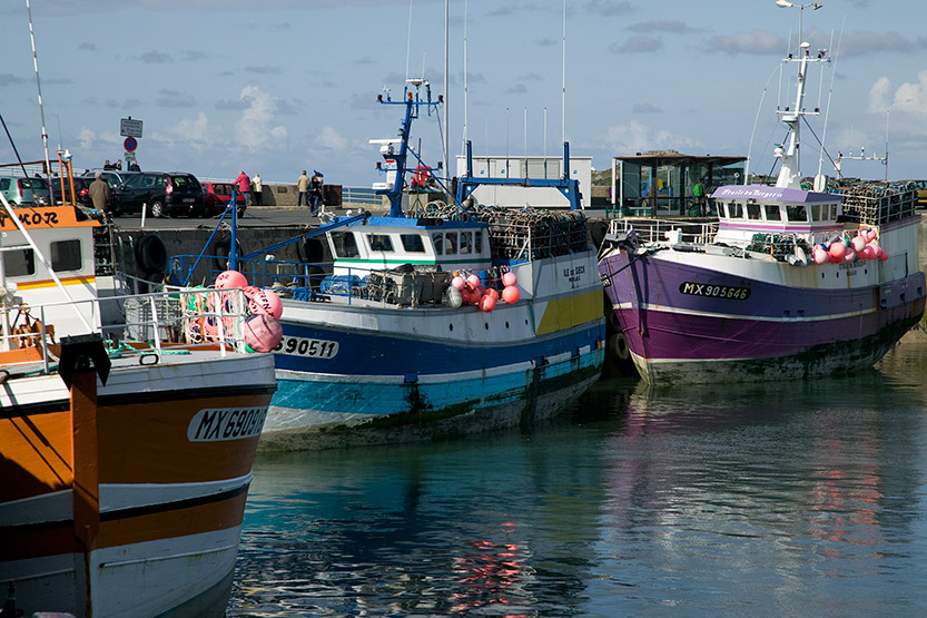 Dans le port de Roscoff © SD