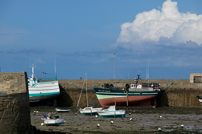 Marée basse dans le port de Roscoff © SD