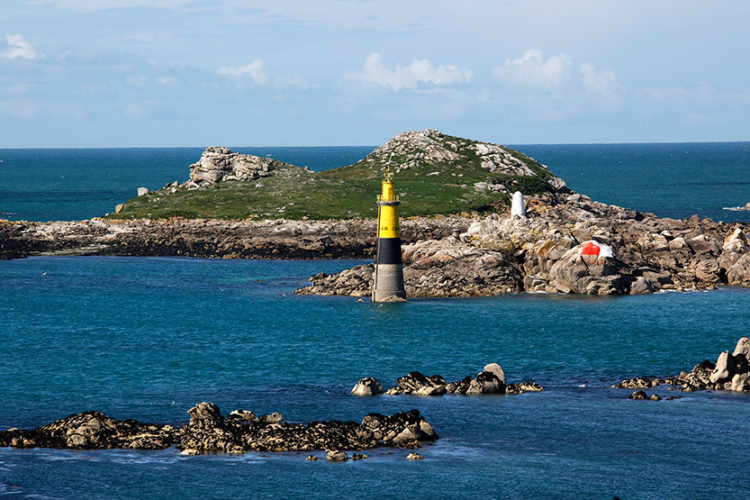 Dans le port de Roscoff © JJS