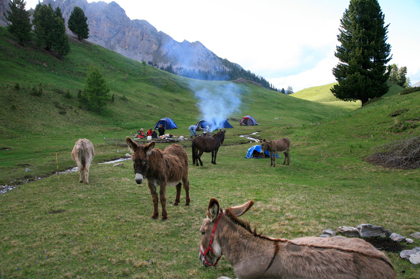 Repas des rois du bivouac