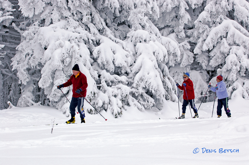 Ski de fond au Champ du Feu