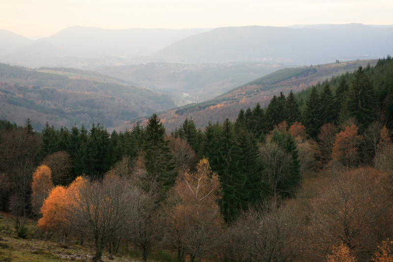 Vue du haut de Belmont, Vallée de la Bruche