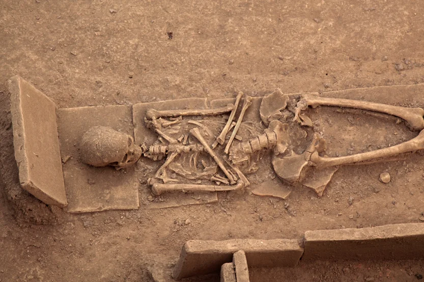 Site de Viminacium