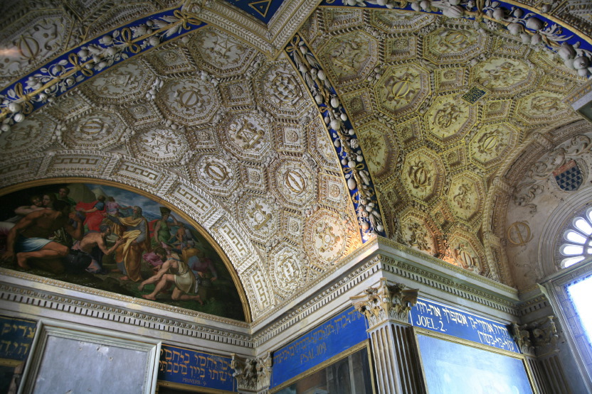 Plafond de la chapelle de la Bastie d'Urfé