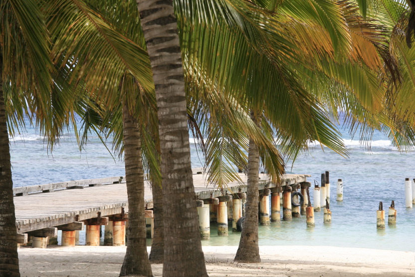 Ponton sur l'île Saona