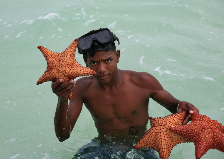 Magnifiques étoiles de mer, près de l'île Saona