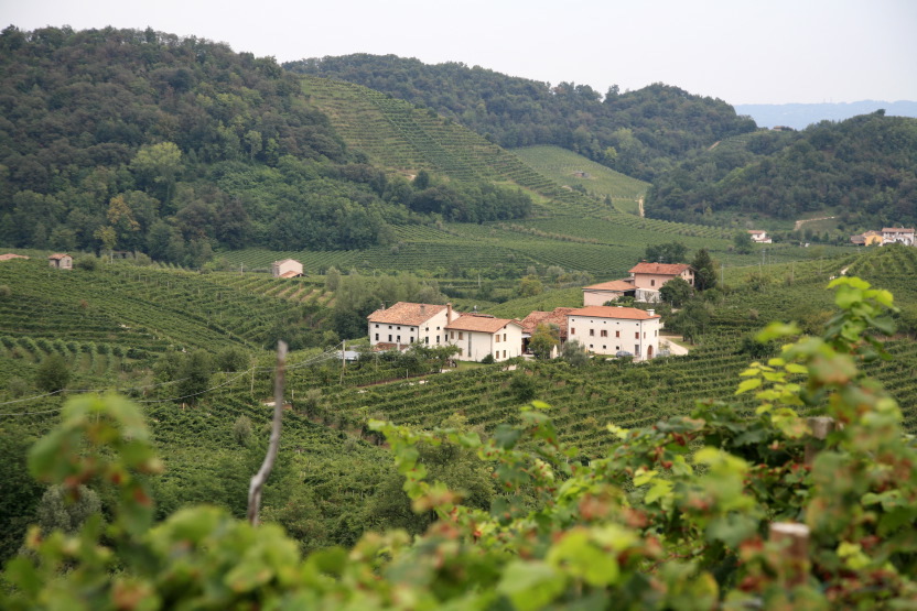 Les collines du Prosecco autour de Vadobbiadene