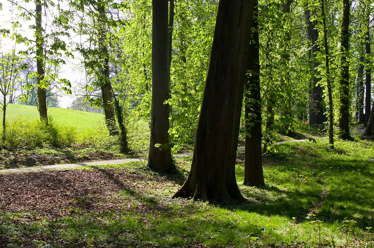Uccle, ses parcs et jardins insolites