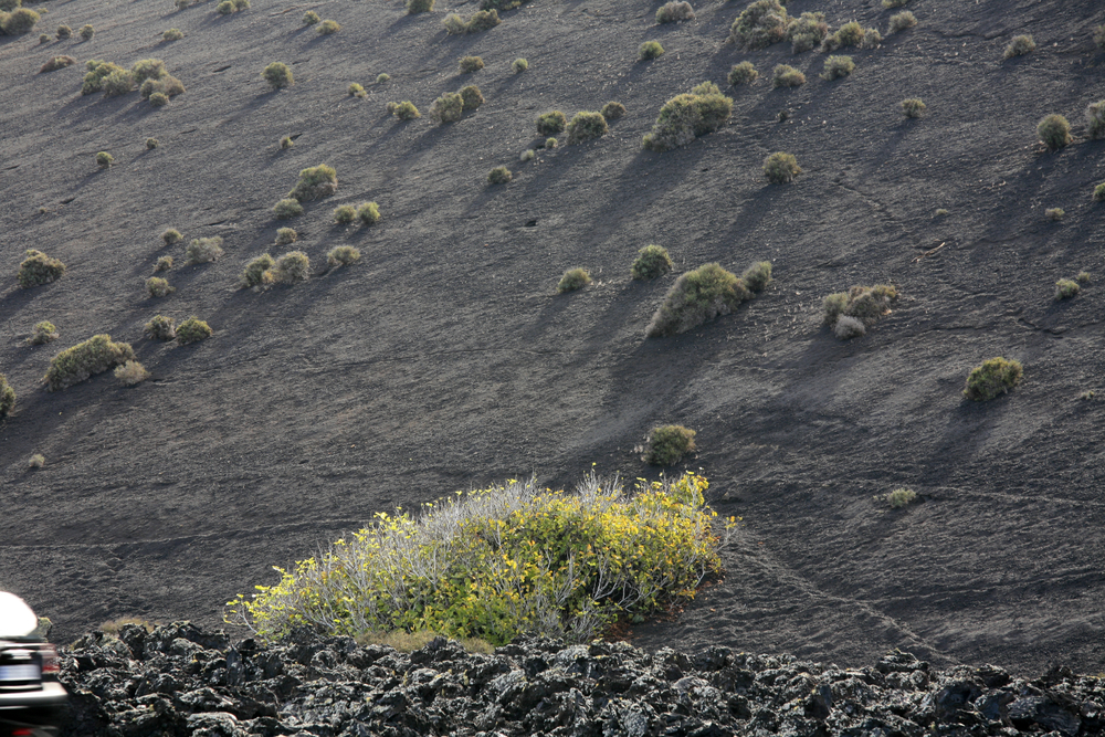 Paysage dans le parc naturel de Timanfaya