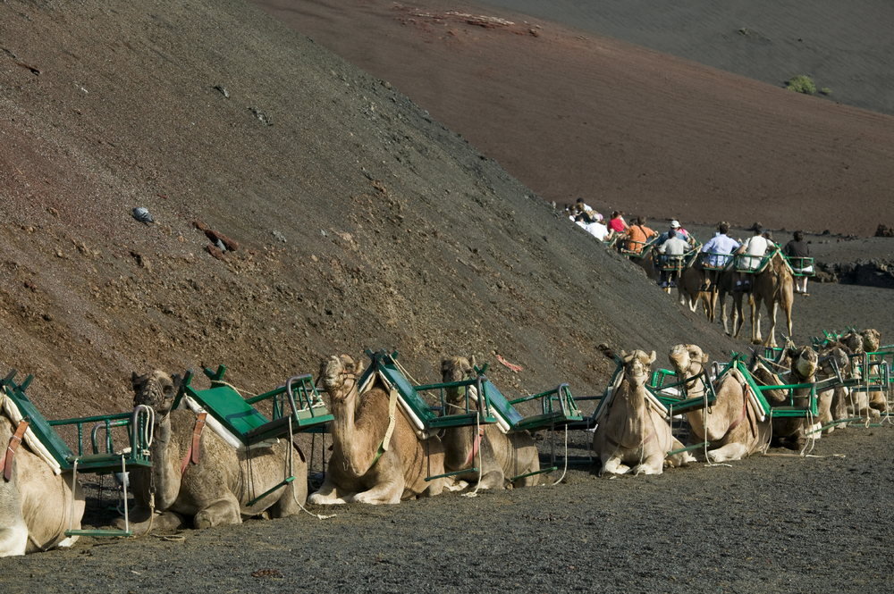 Dans le parc naturel de Timanfaya