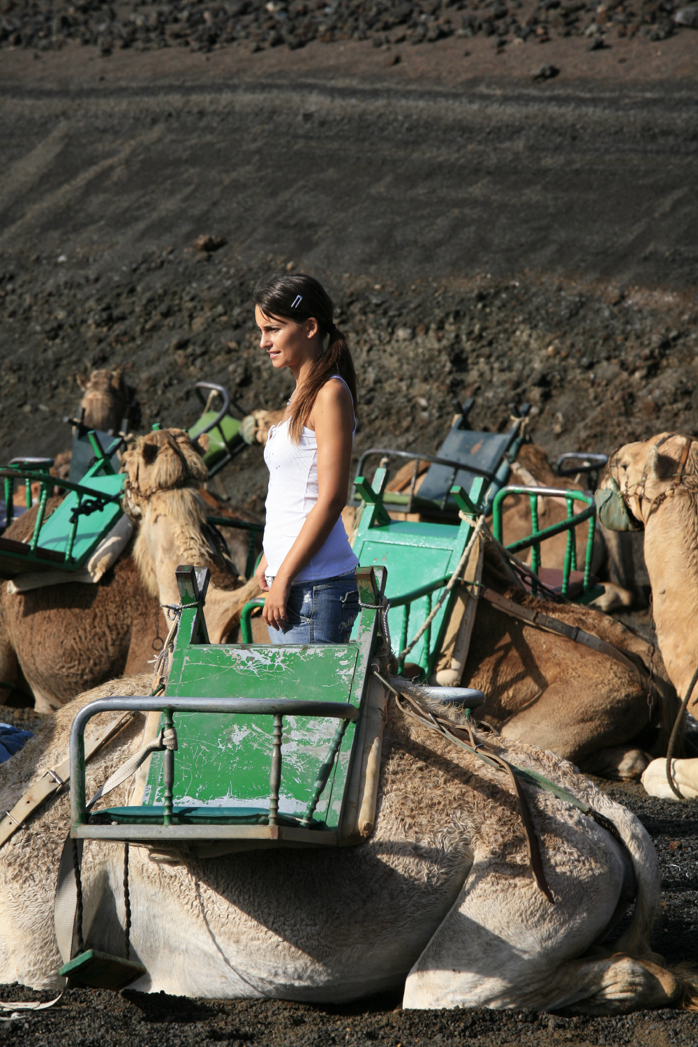 Au parc naturel de Timanfaya