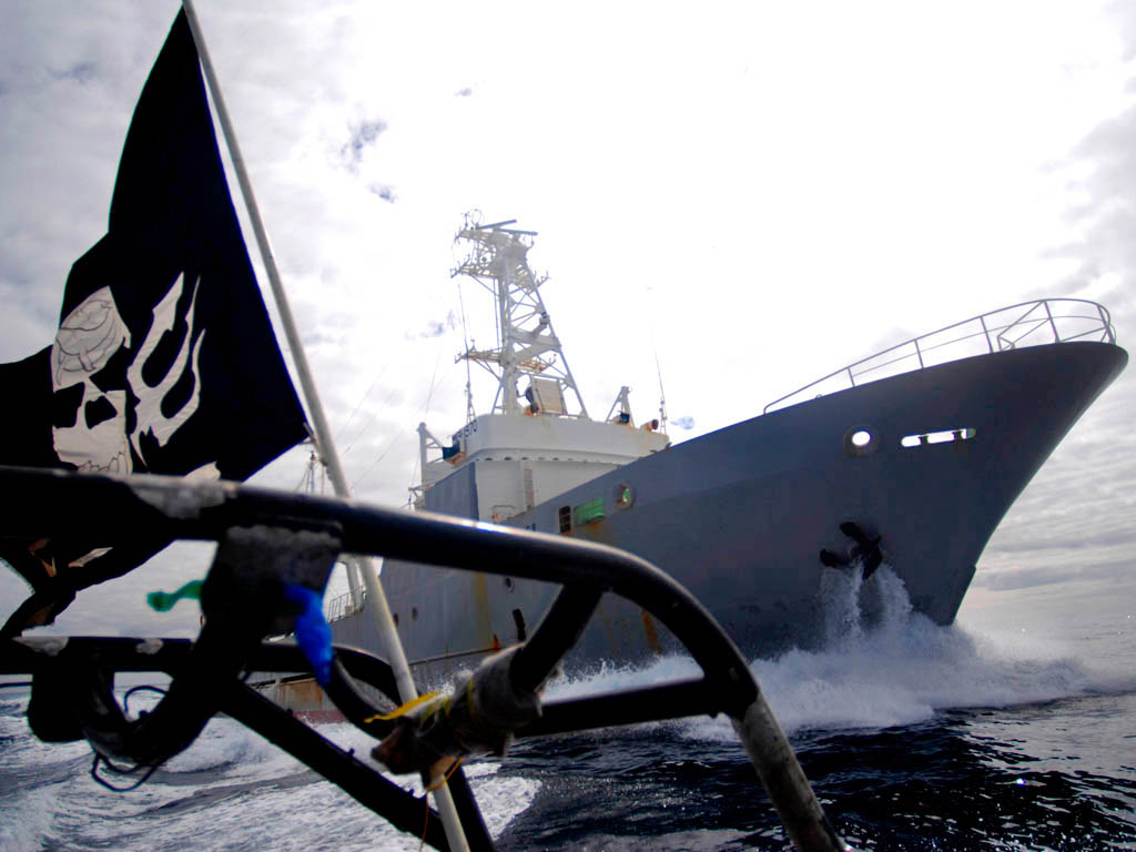 Sea Shepherd in action