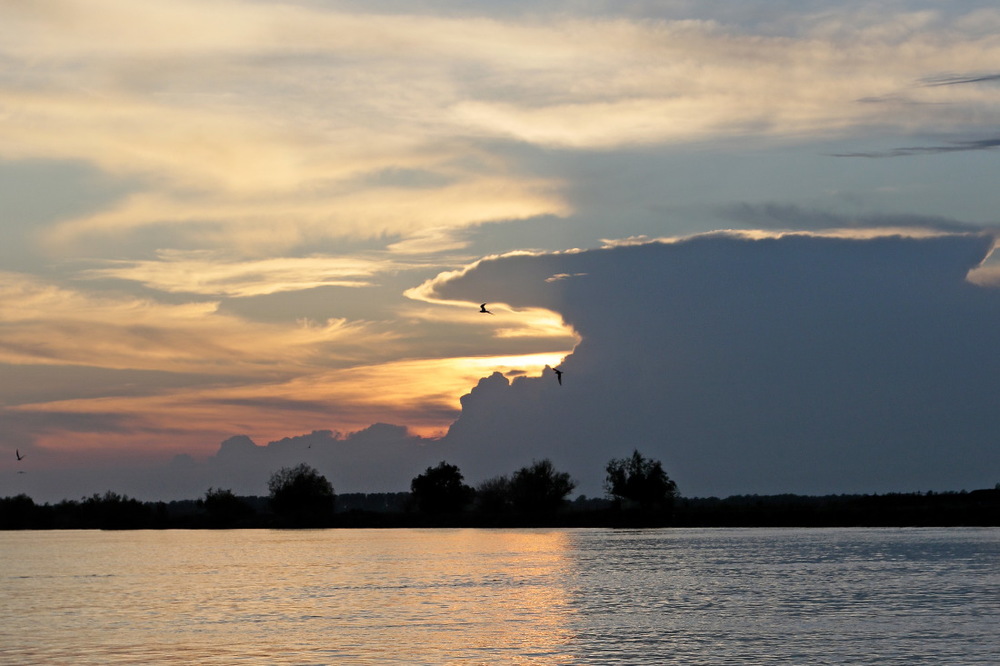 Soleil couchant sur le Delta du Danube