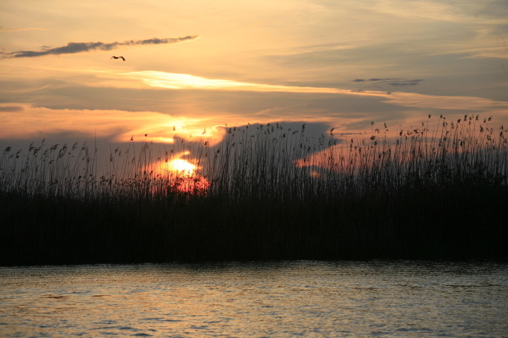Soleil couchant sur le Delta du Danube