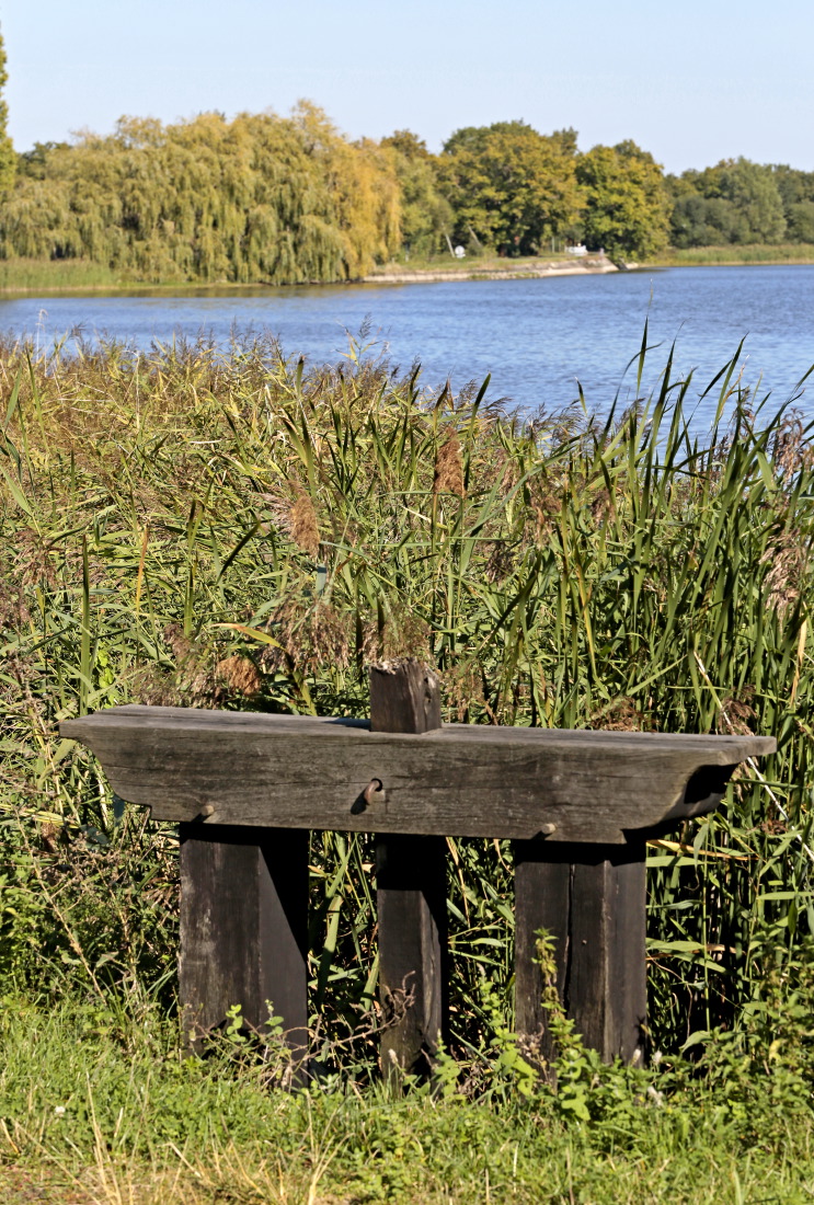 la "Bonde" qui ponctue les étangs de la Brenne
