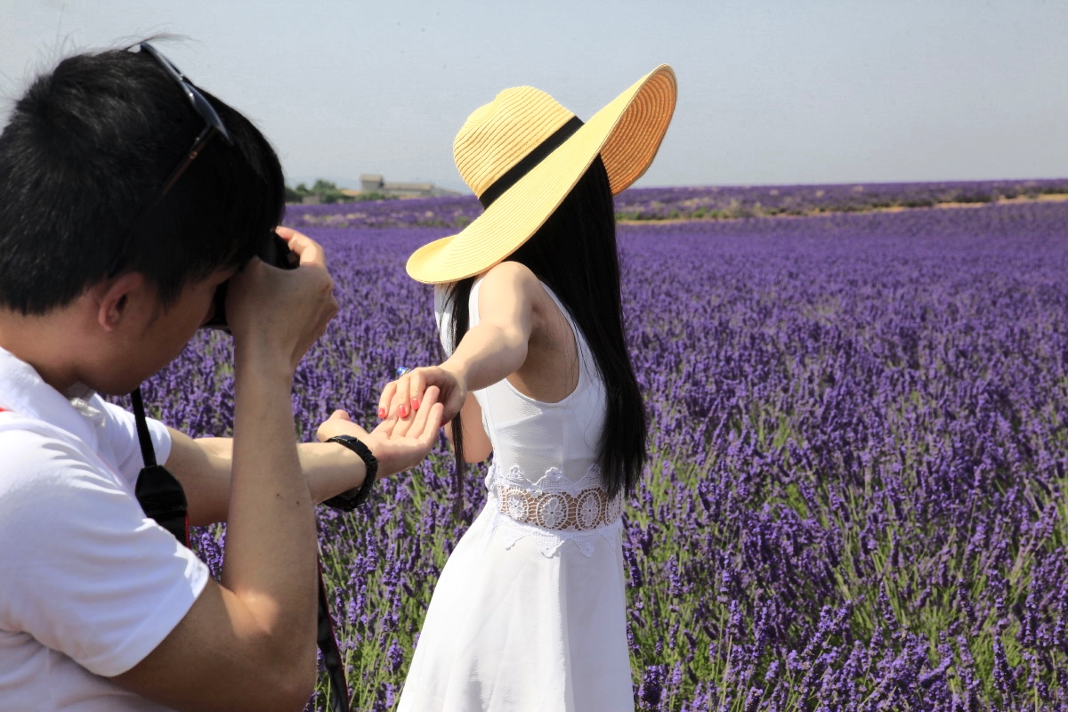 Les princesses du plateau de Valensole © S.D