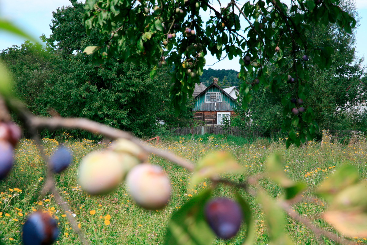 Au coeur de la Transylvanie © S. Dauwe