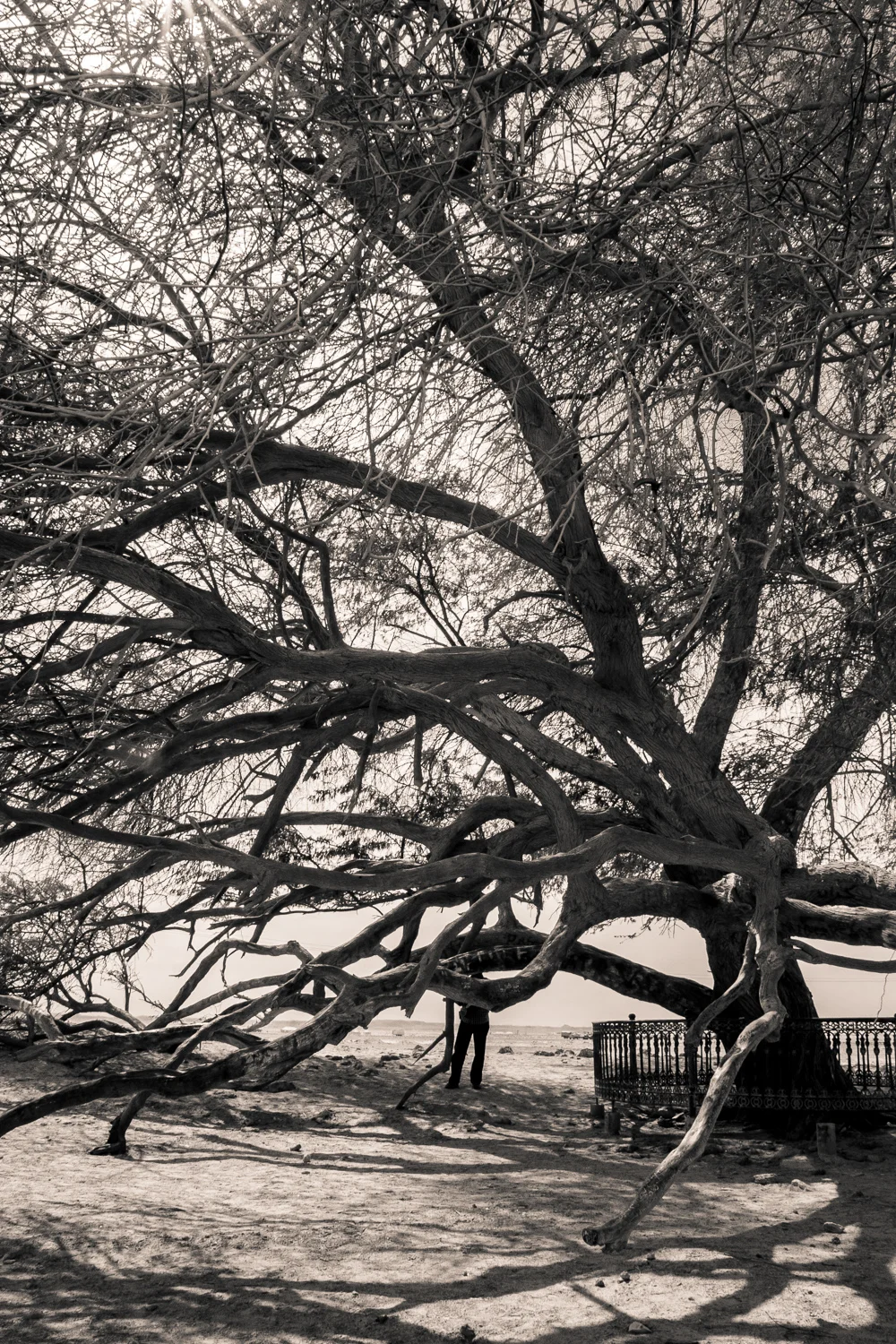 ABS-Travel-Art-Photography-Bahrain