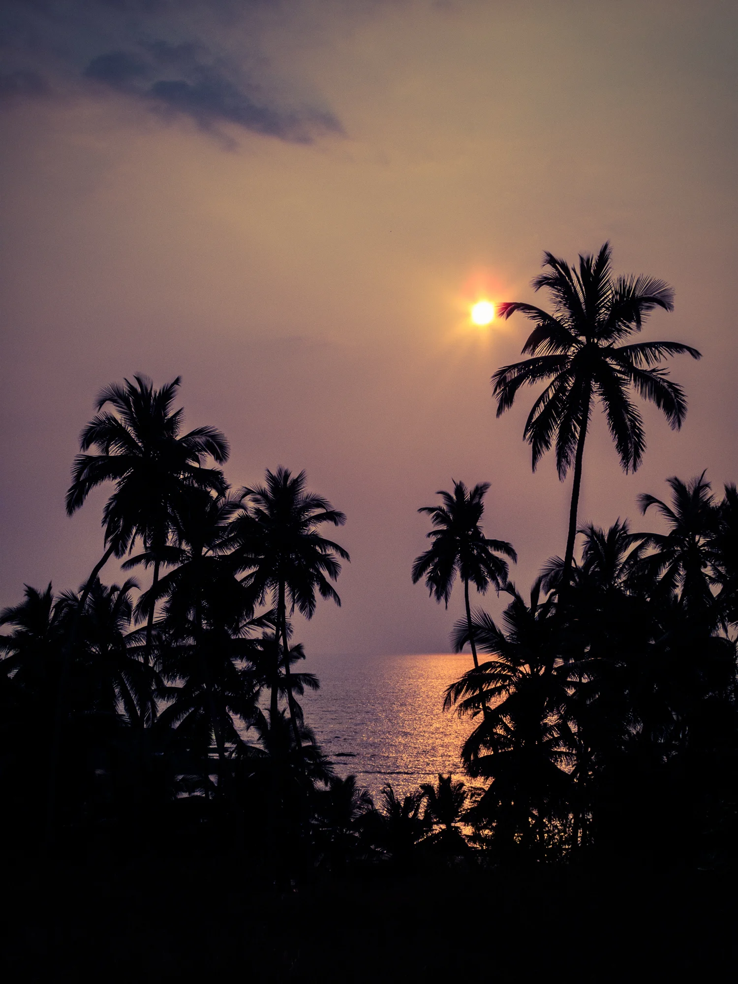 Ali-Barqawi-Studios-Travel-Art-Photography-India-Goa-Vagator
