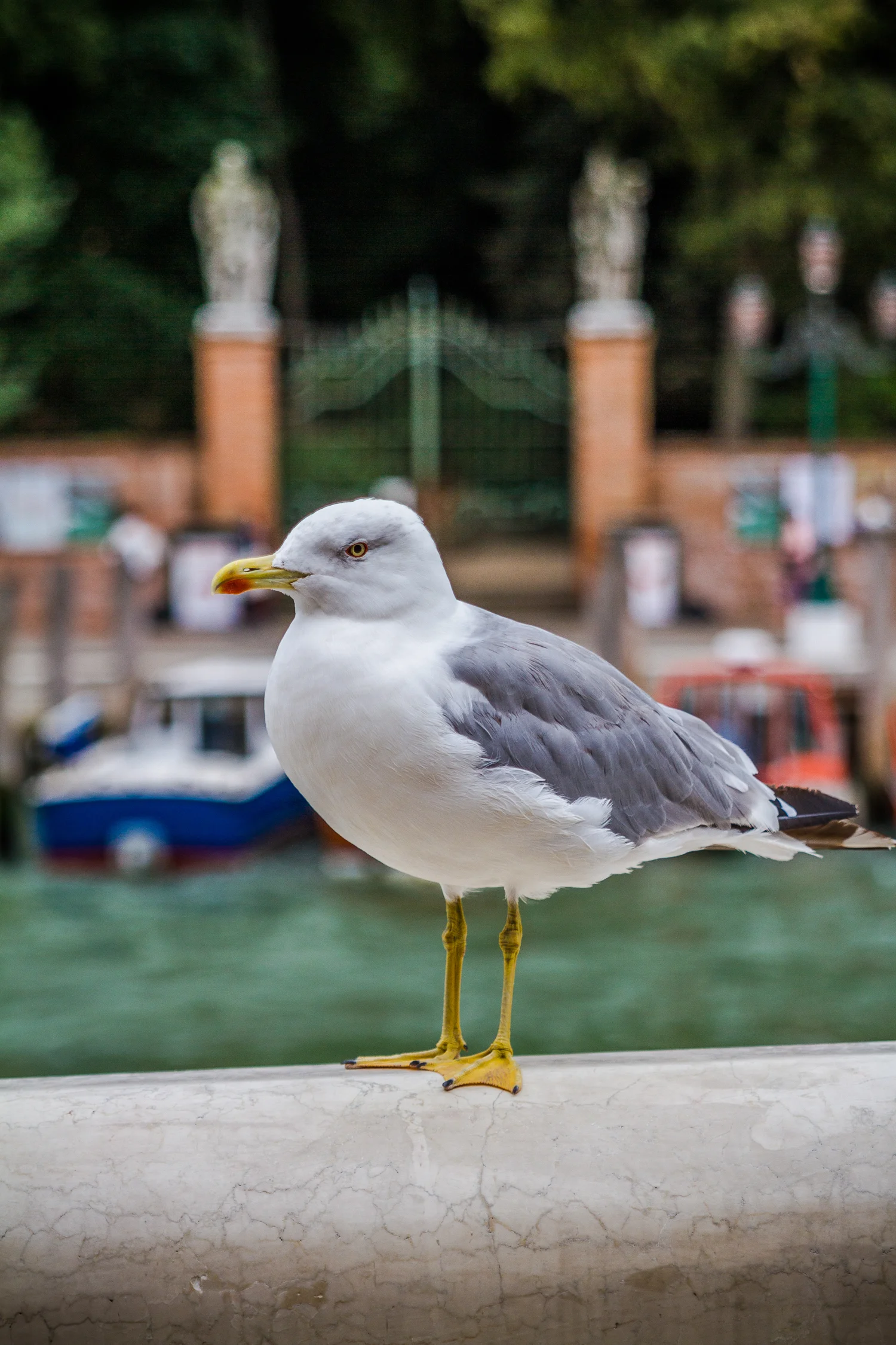 Ali-Barqawi-Studios-Travel-Art-Photography-Italy-Venice