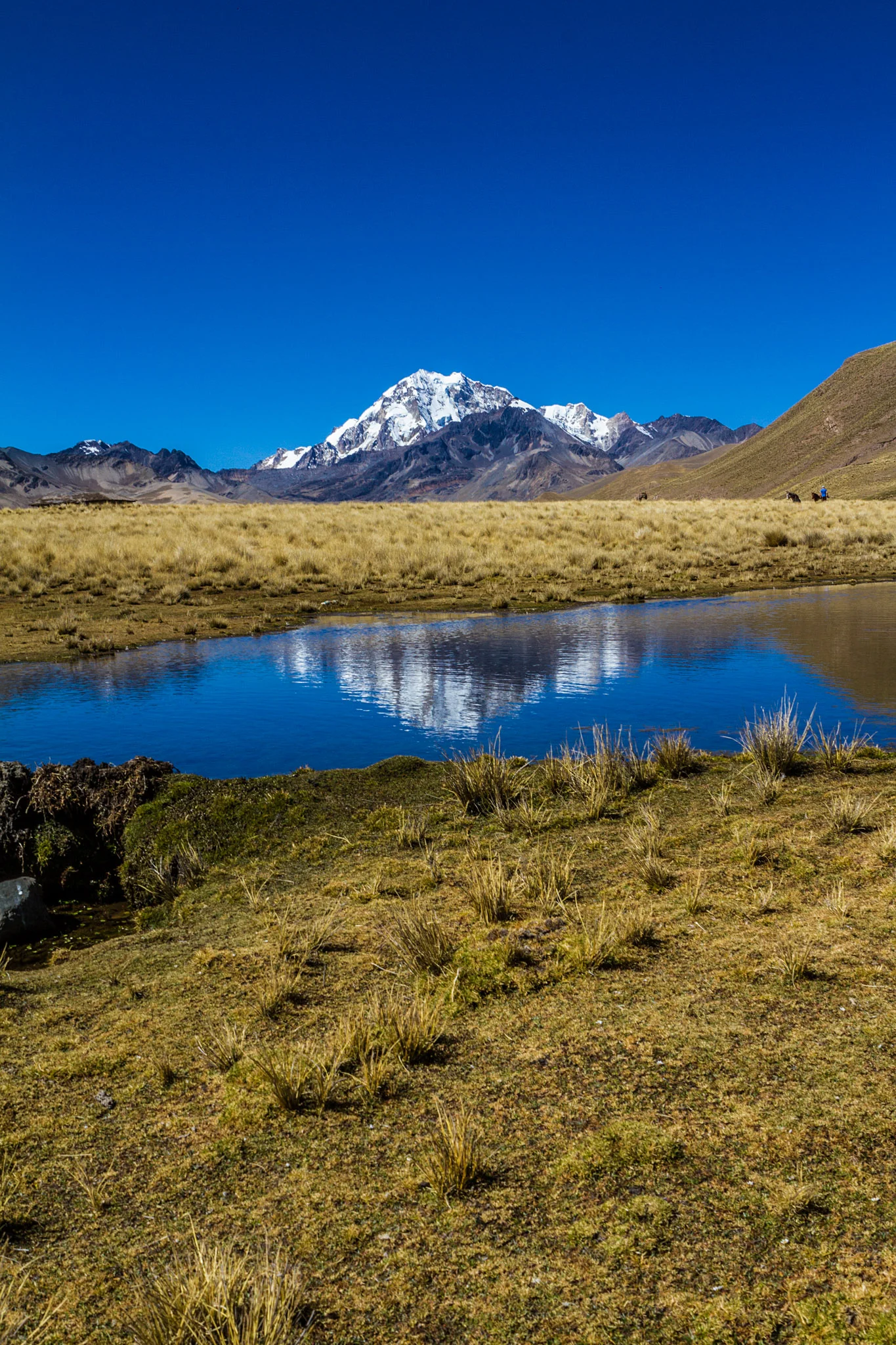 Ali-Barqawi-Studios-Explore-Series-Travel-Adventure-Documentary-C4CGAZA-Bolivia-Mount-Tarija-2015-101.jpg