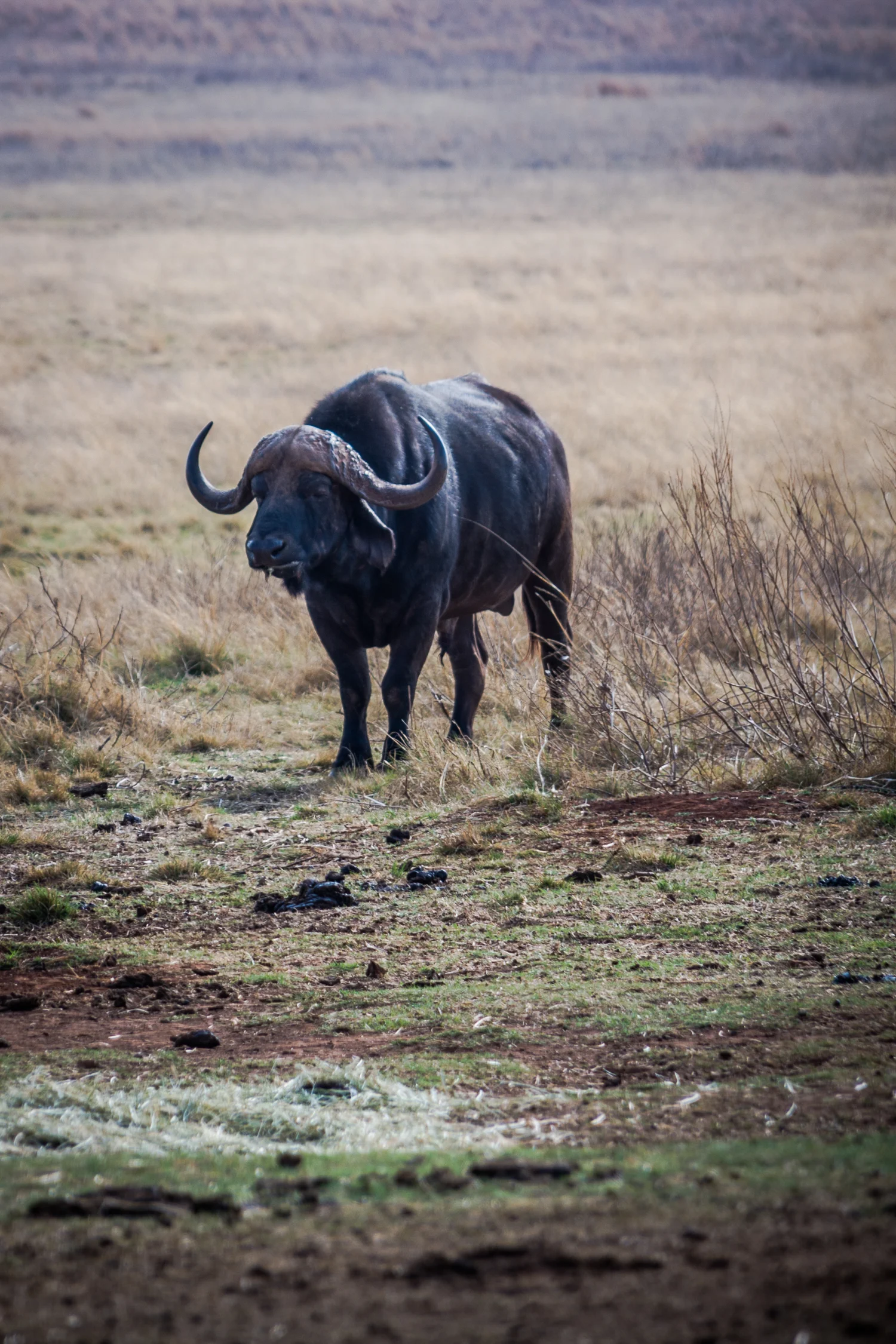 ABS-Travel-Art-Photography-South-Africa-Juhansburg