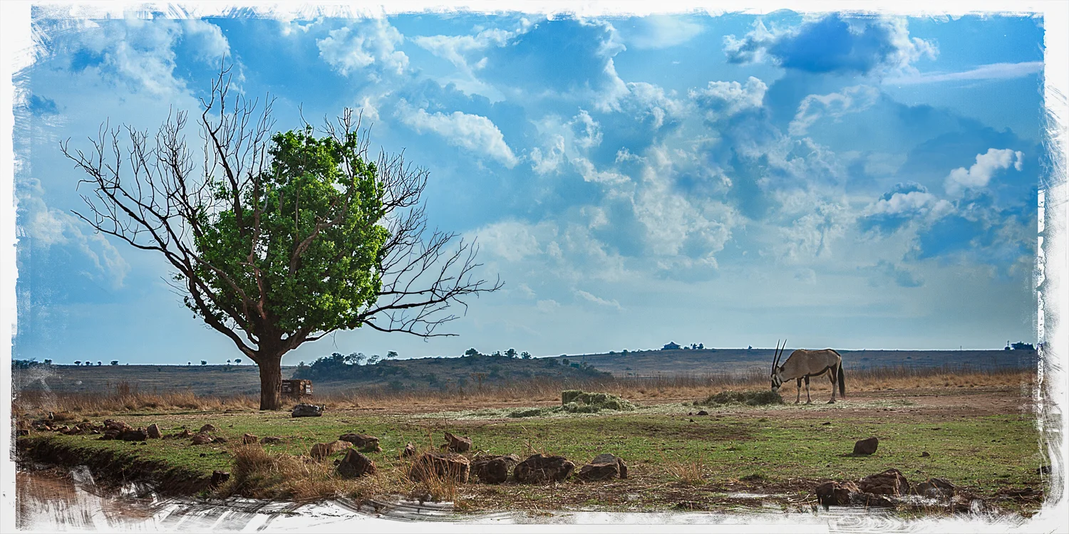 ABS-Travel-Art-Photography-South-Africa-Juhansburg