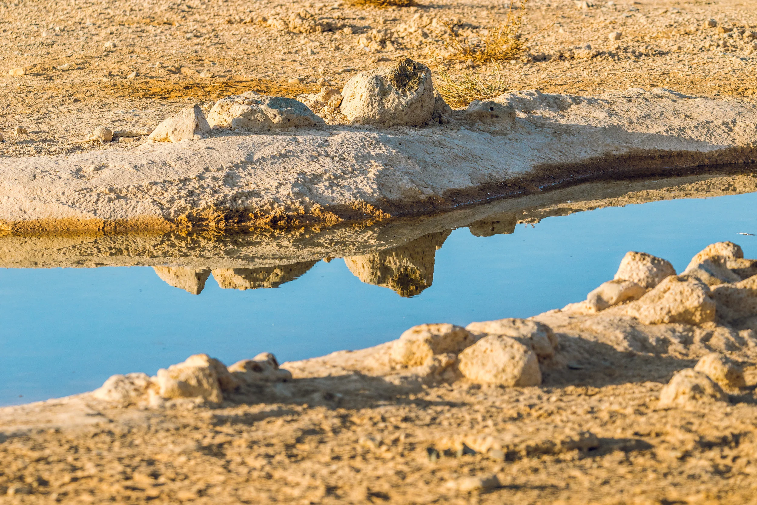 Ali-Barqawi-Studios-Adventure-Travel-Shaumari-Wildlife-Reserve-R