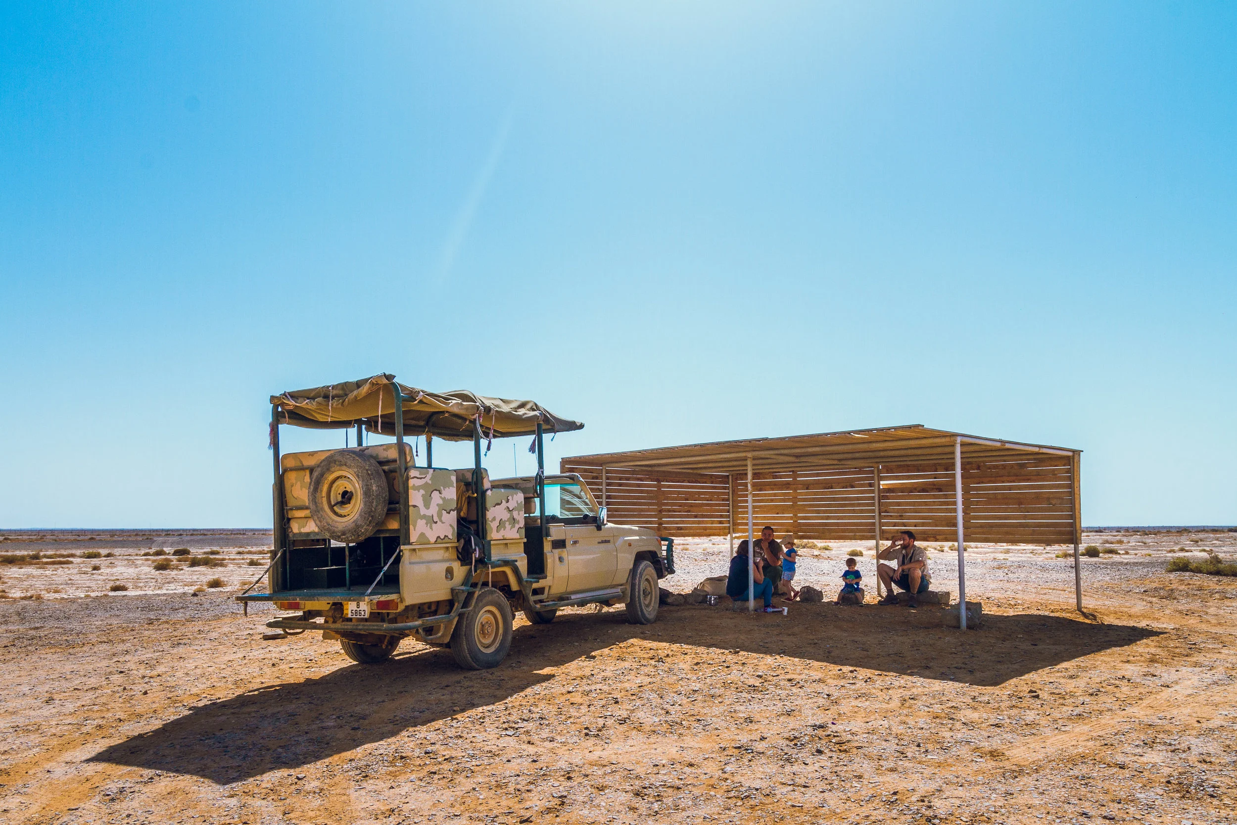 Ali-Barqawi-Studios-Adventure-Travel-Shaumari-Wildlife-Reserve-R