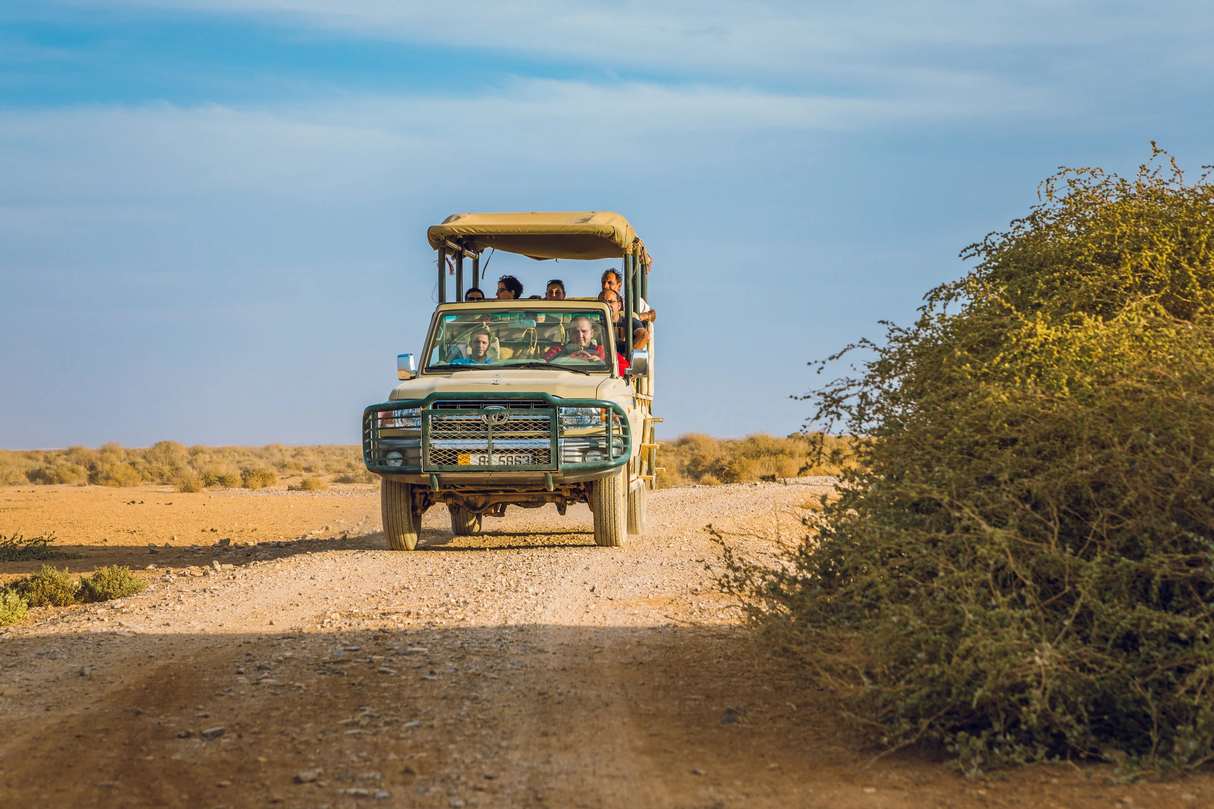 Ali-Barqawi-Studios-Adventure-Travel-Shaumari-Wildlife-Reserve-R