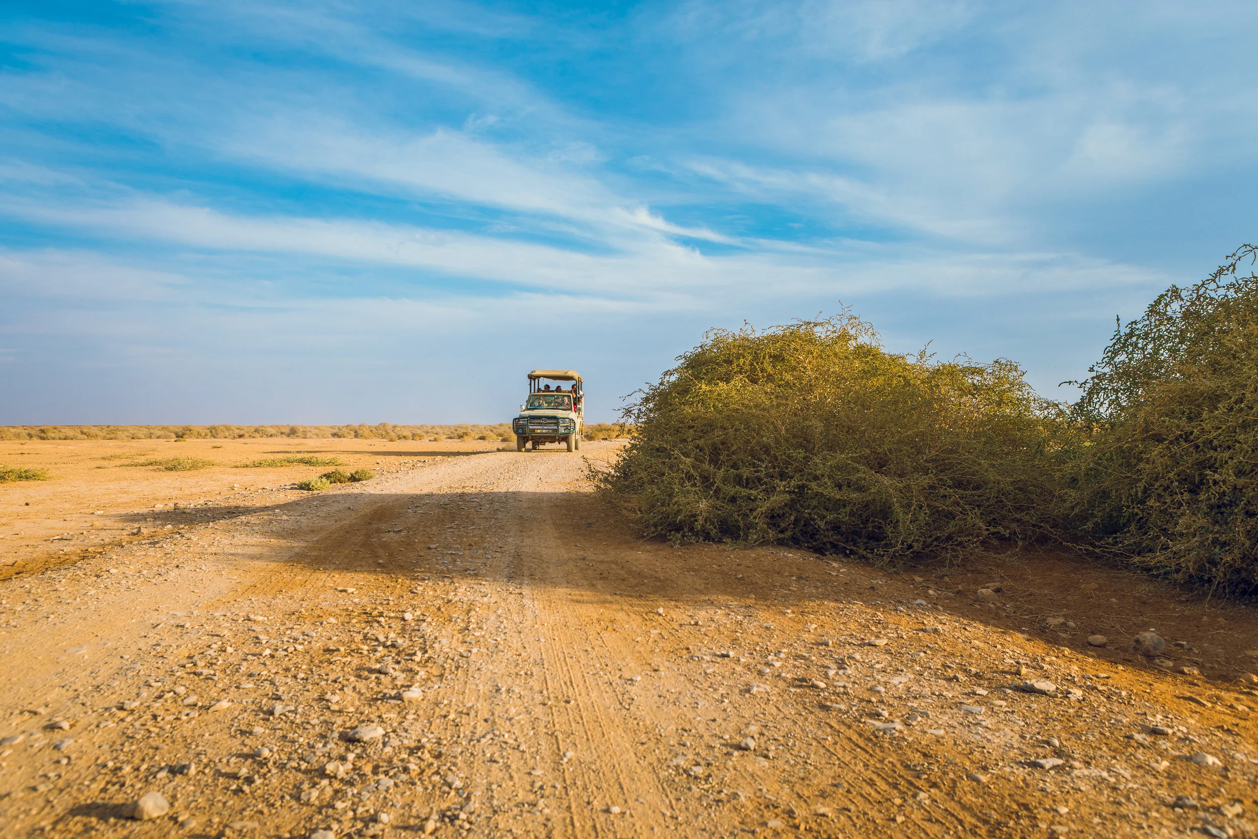 Ali-Barqawi-Studios-Adventure-Travel-Shaumari-Wildlife-Reserve-R