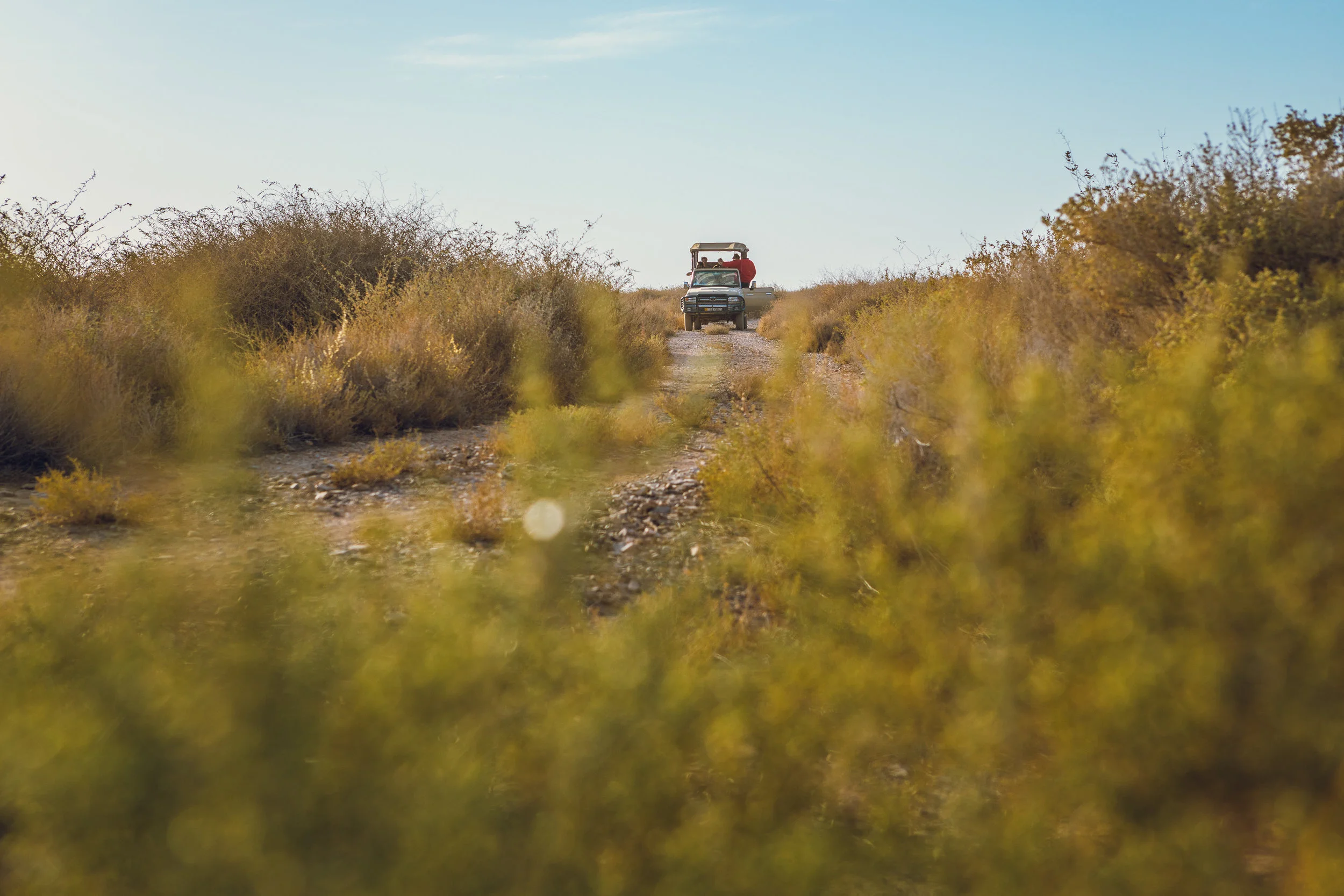 Ali-Barqawi-Studios-Adventure-Travel-Shaumari-Wildlife-Reserve-R