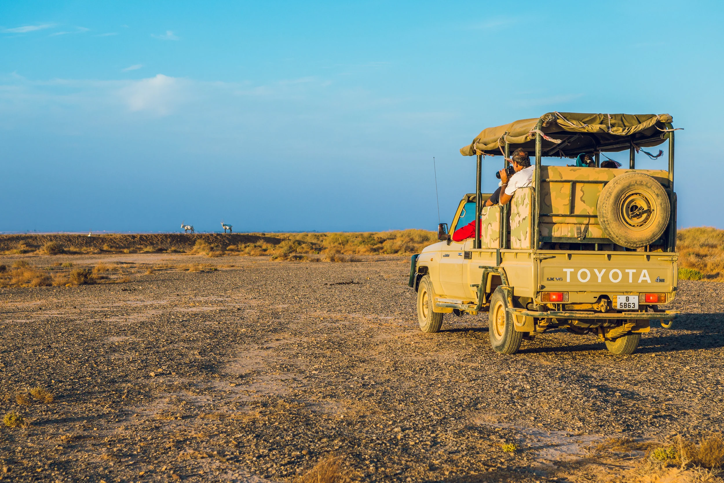 Ali-Barqawi-Studios-Adventure-Travel-Shaumari-Wildlife-Reserve-R