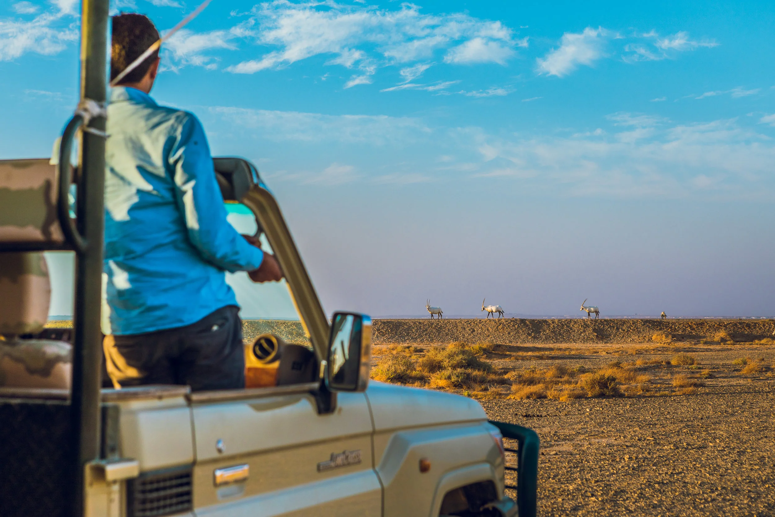 Ali-Barqawi-Studios-Adventure-Travel-Shaumari-Wildlife-Reserve-R