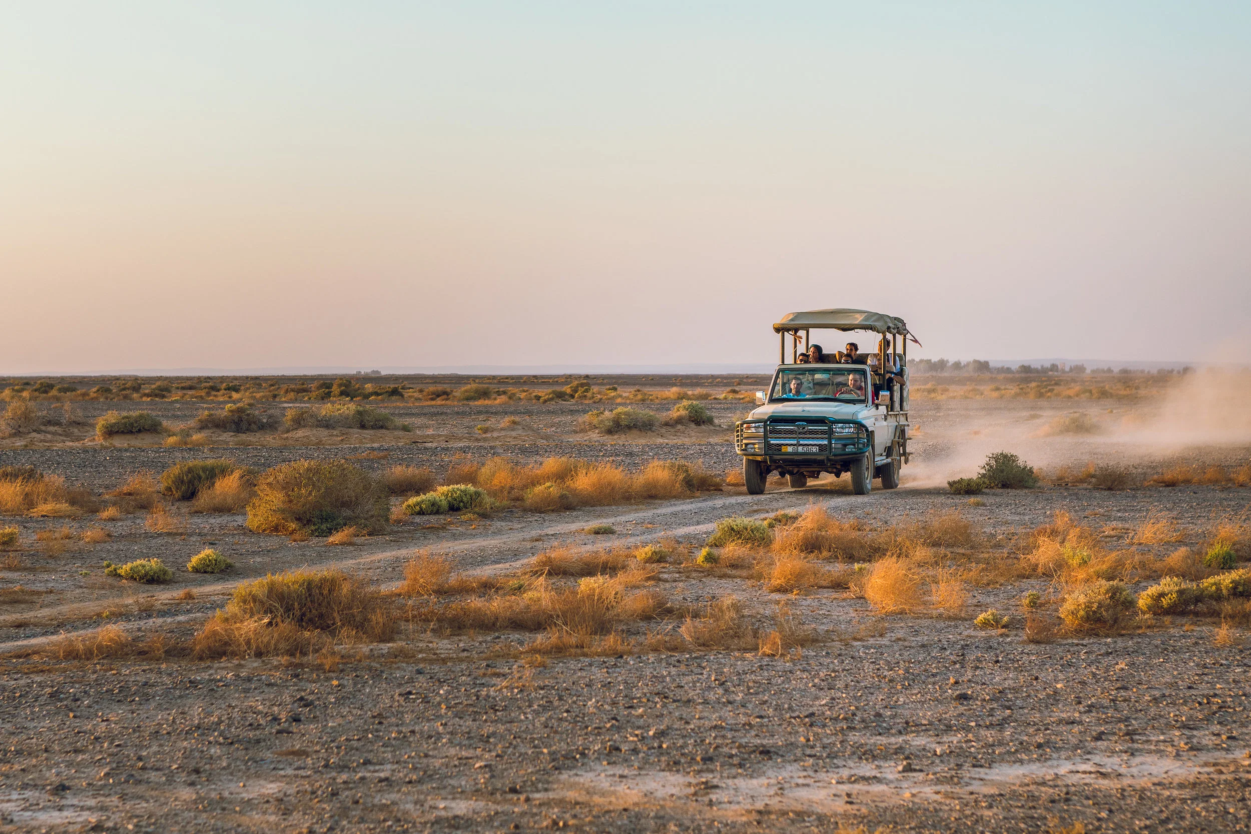 Ali-Barqawi-Studios-Adventure-Travel-Shaumari-Wildlife-Reserve-R