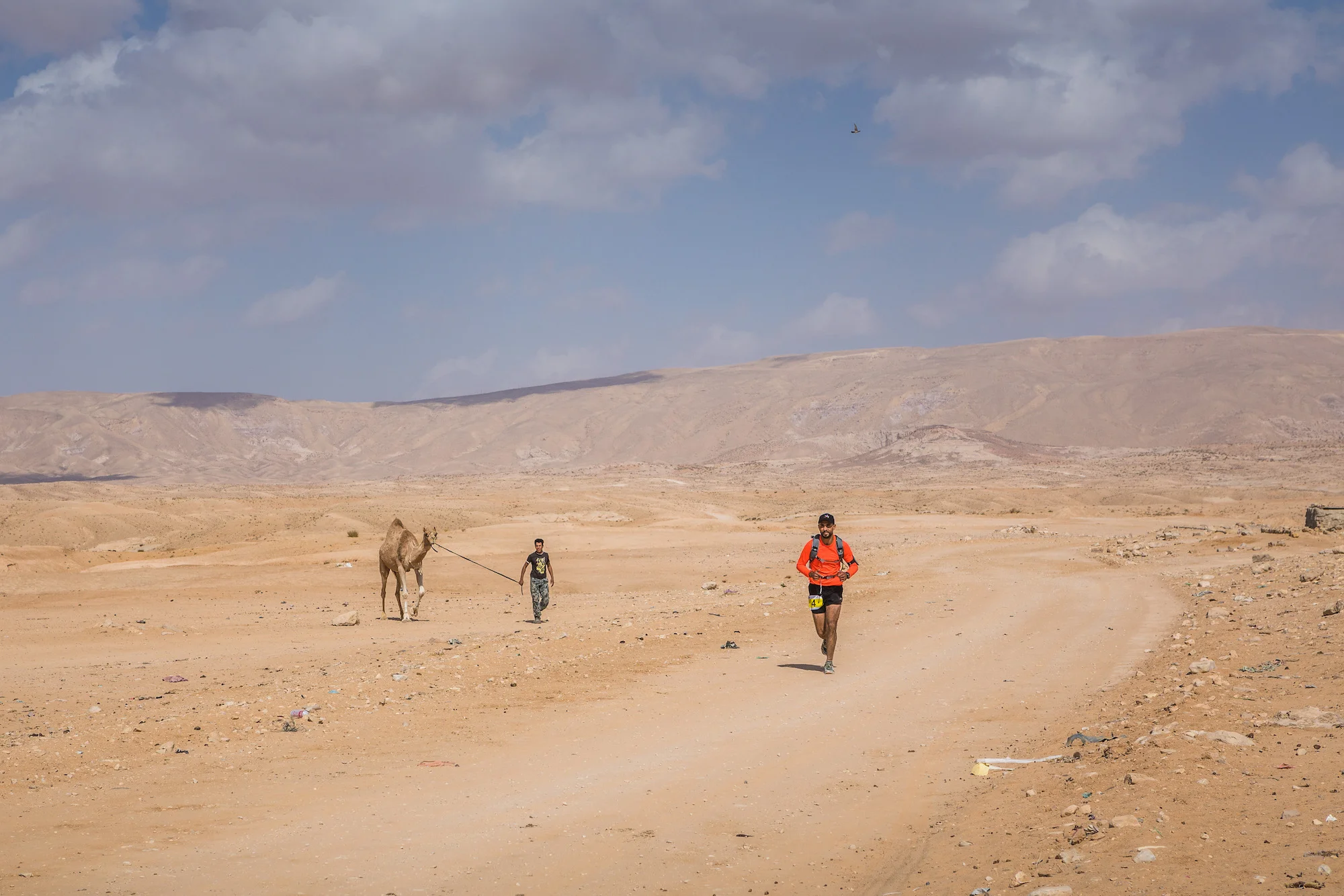 Ali-Barqawi-Studios-Adventure-Travel-Sports-Wadi-Rum-Marathon-100km-Masafat-JTB-2017
