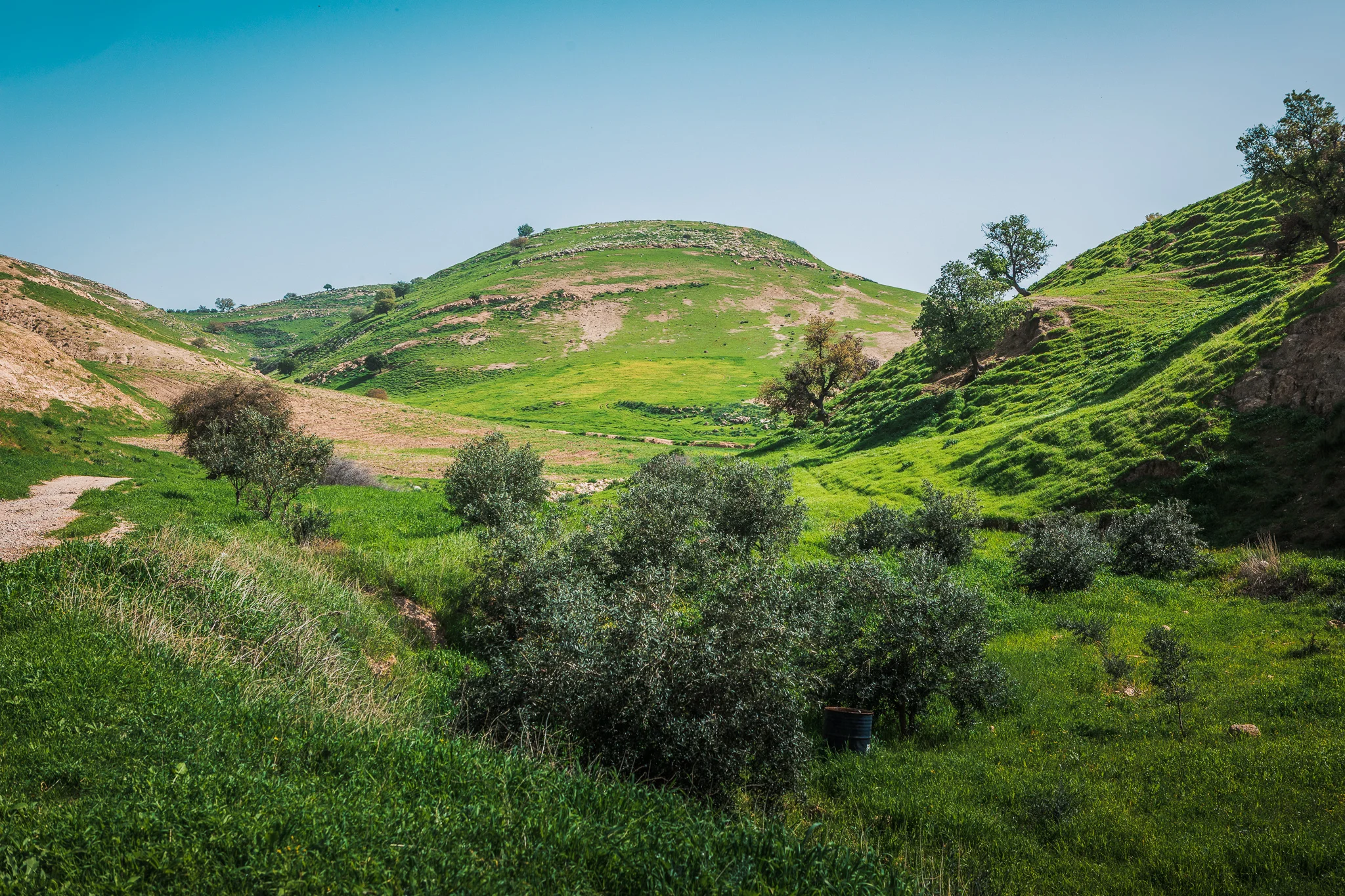 Ali-Barqawi-Studios-Explore-Series-Travel-Adventure-Jordan-Trail
