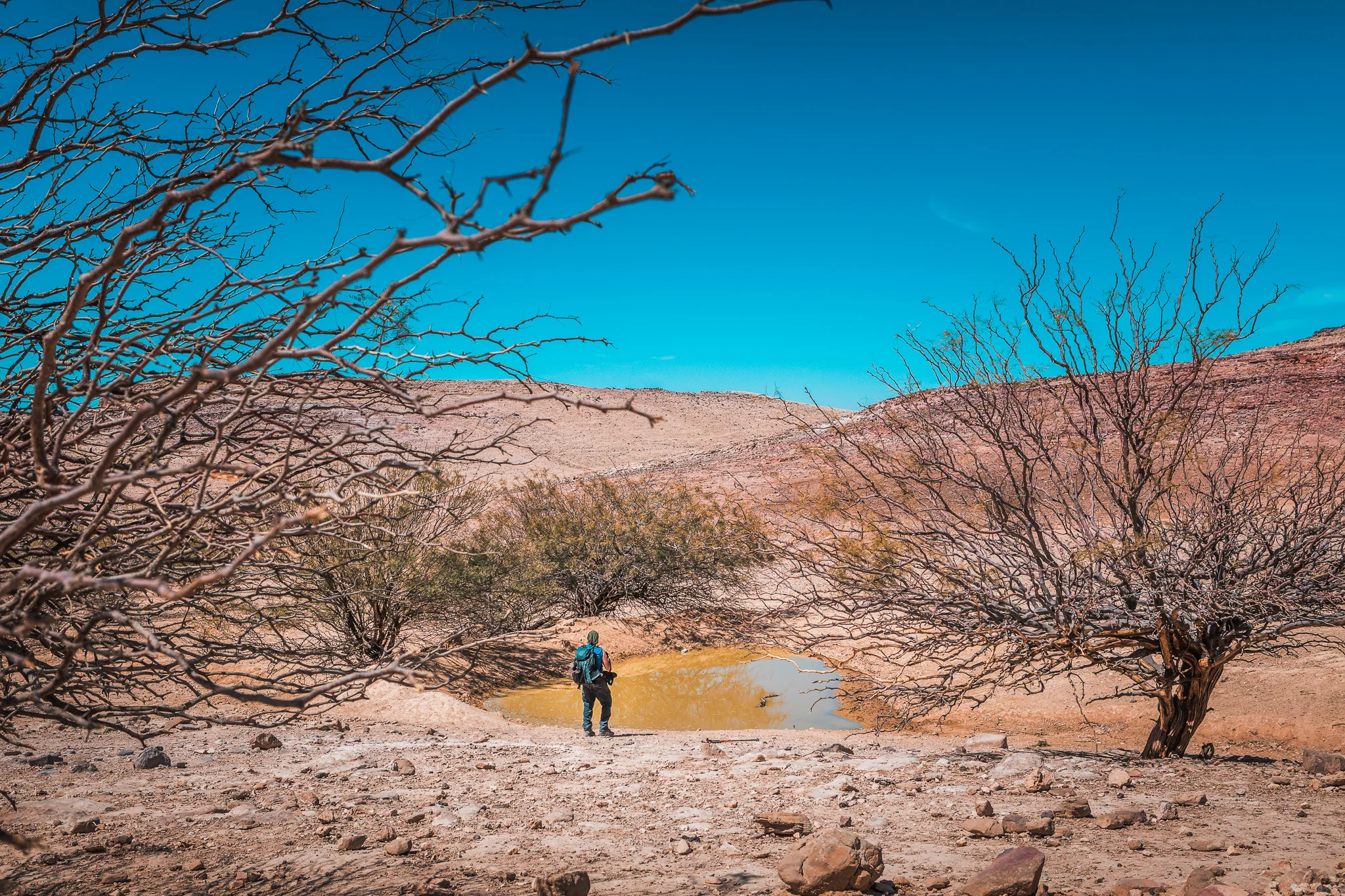Ali-Barqawi-Studios-Explore-Series-Travel-Adventure-Jordan-Trail