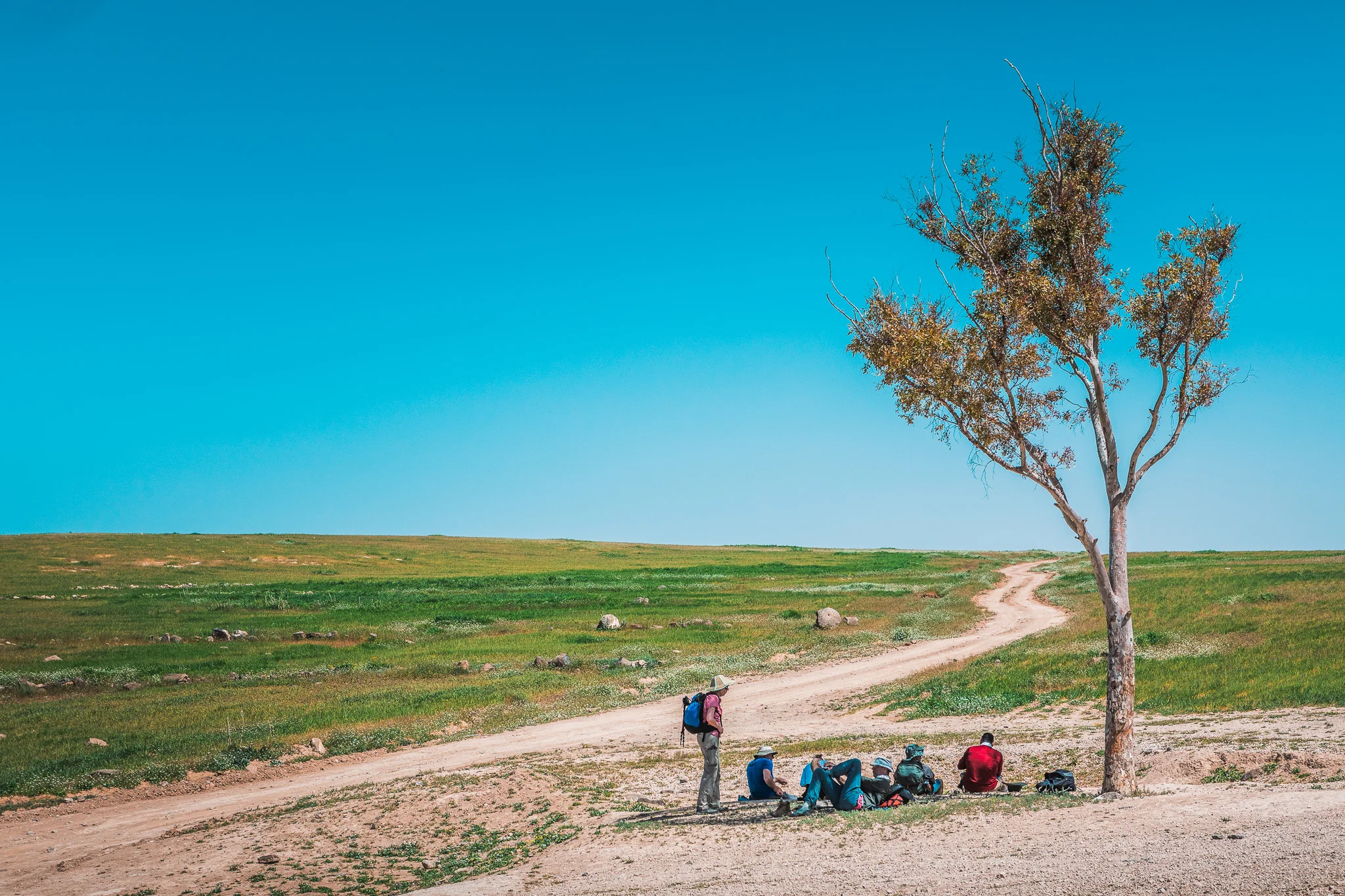 Ali-Barqawi-Studios-Explore-Series-Travel-Adventure-Jordan-Trail