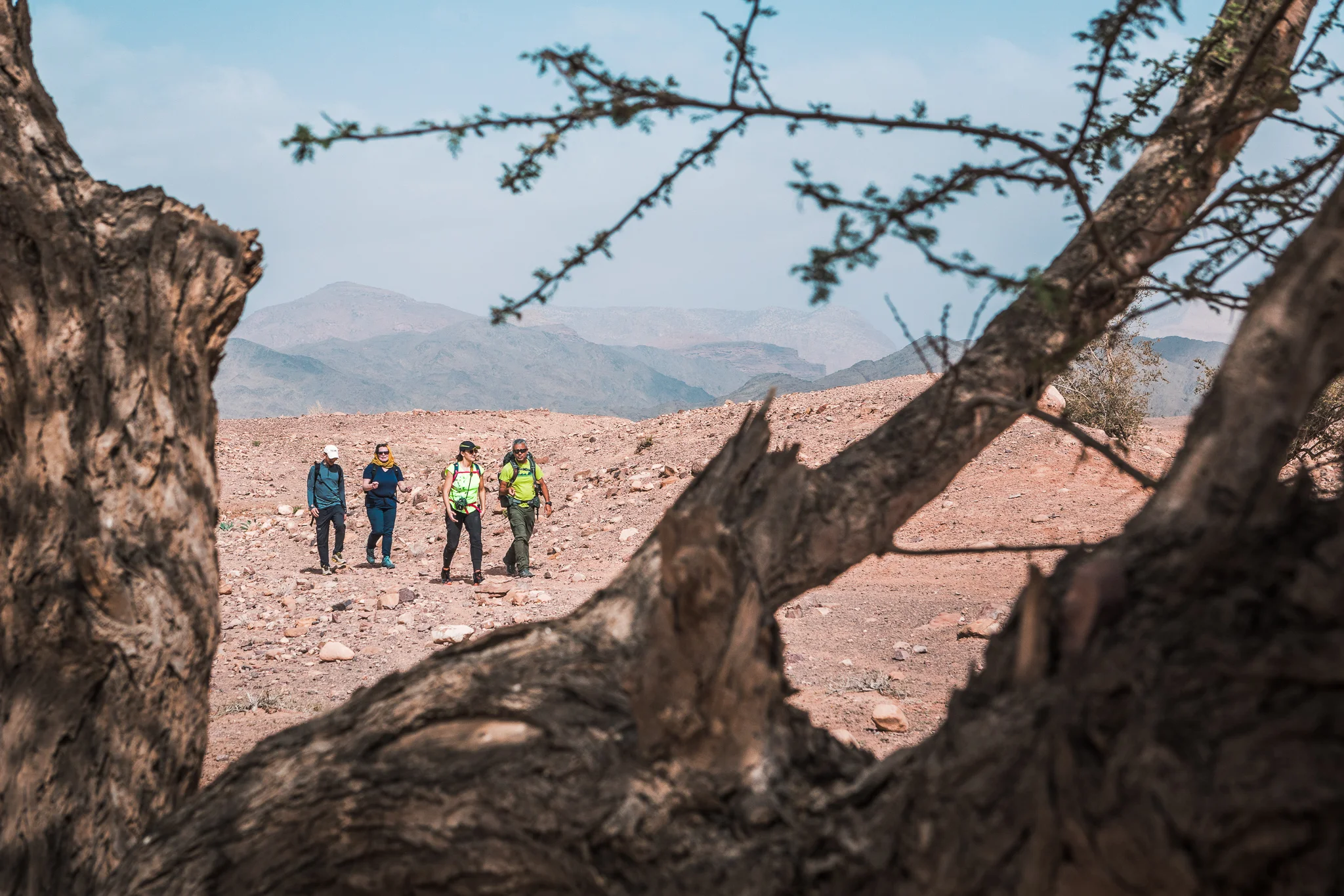 Ali-Barqawi-Studios-Explore-Series-Travel-Adventure-Jordan-Trail