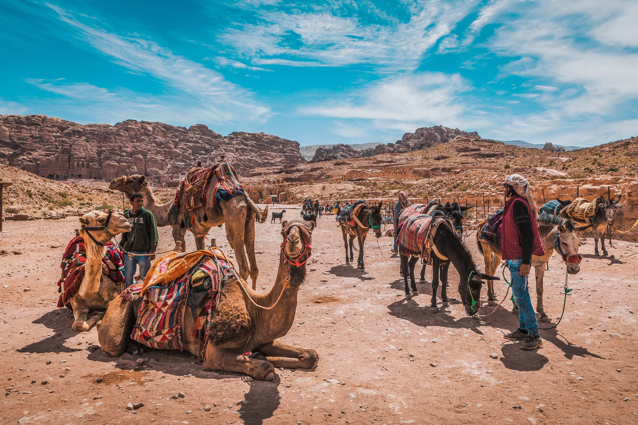 Ali-Barqawi-Studios-Explore-Series-Travel-Adventure-Jordan-Trail