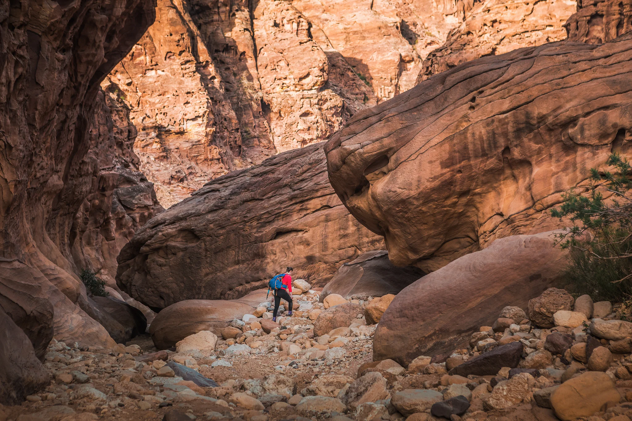 Ali-Barqawi-Studios-Explore-Series-Travel-Adventure-Jordan-Trail
