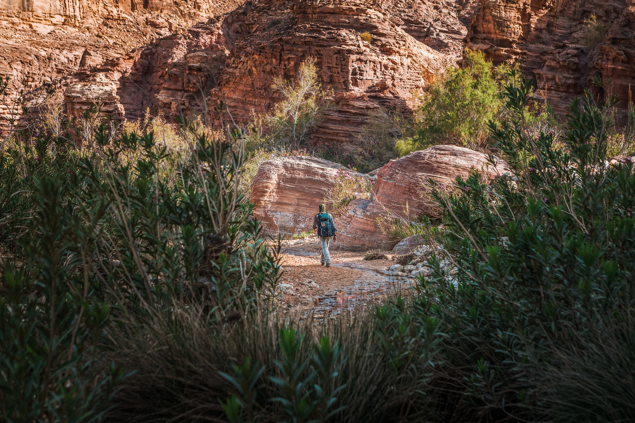 Ali-Barqawi-Studios-Explore-Series-Travel-Adventure-Jordan-Trail