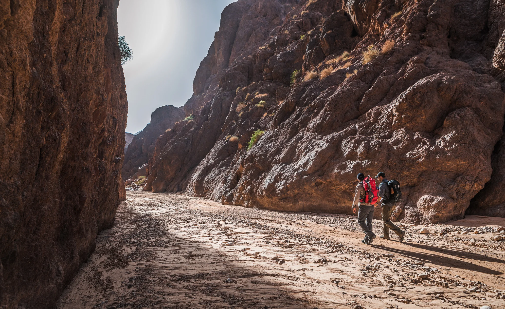 Ali-Barqawi-Studios-Explore-Series-Travel-Adventure-Jordan-Trail