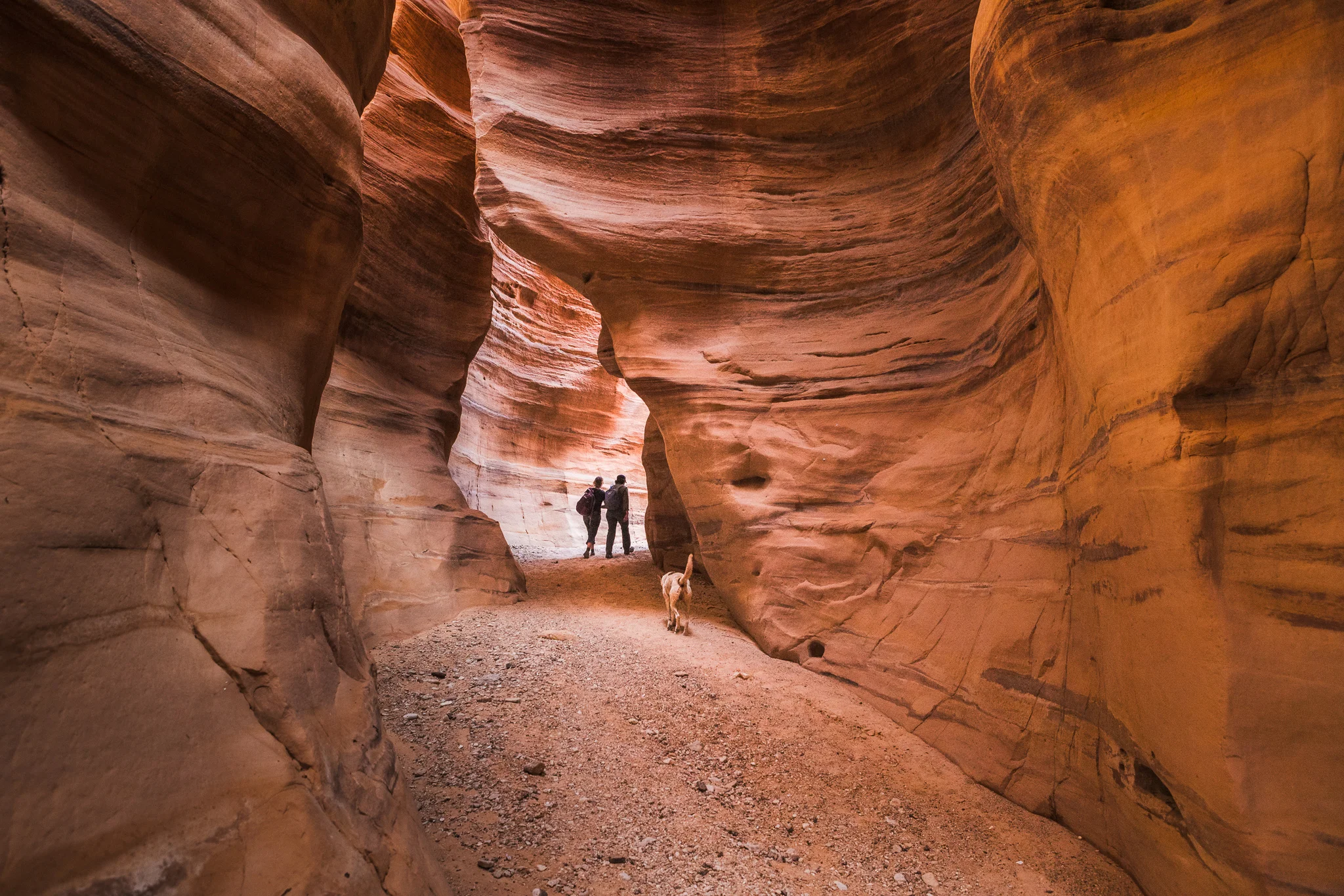 Ali-Barqawi-Studios-Explore-Series-Travel-Adventure-Jordan-Trail